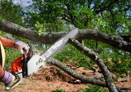 Best Lawn Grading and Leveling  in Jackson, CA